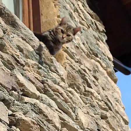 Rifugio Alpino Baudinet - Trek&relax 3*