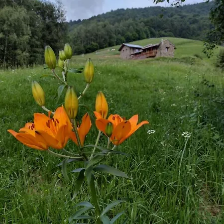 Rifugio Alpino Baudinet - Trek&relax Bed & Breakfast *