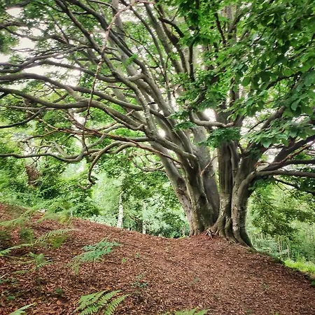Rifugio Alpino Baudinet - Trek&relax 3* Chiusa di Pesio