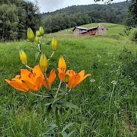 Rifugio Alpino Baudinet - Trek&relax 3*
